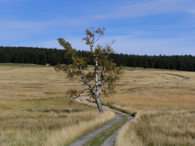 Chatka gorzystow 2007 09 22 014