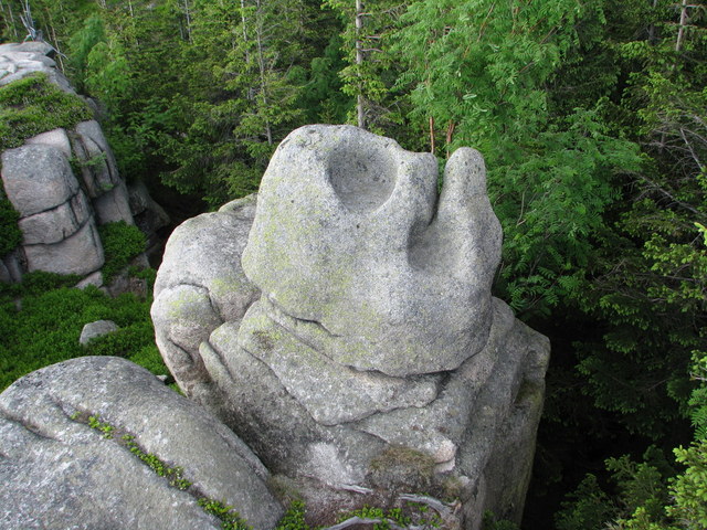 Img 0241