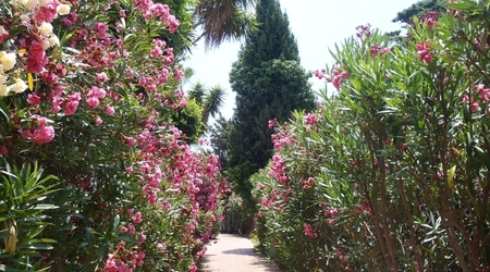 Torremolinos 6 – Hiszpania