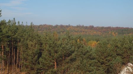 Z zamku – Bobolice, Polska