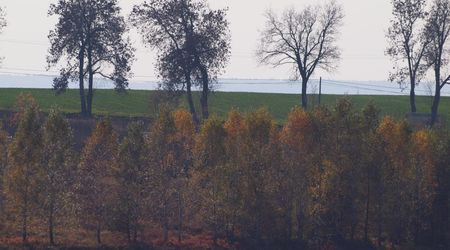 Jesień – Bobolice, Polska