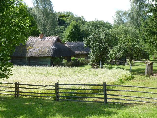 009 Rumszyszki kolo Kowna-Skansen