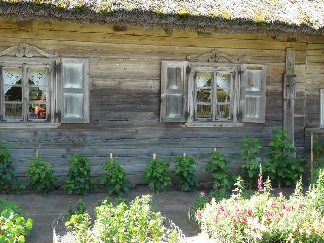 016 Rumszyszki kolo Kowna-Skansen