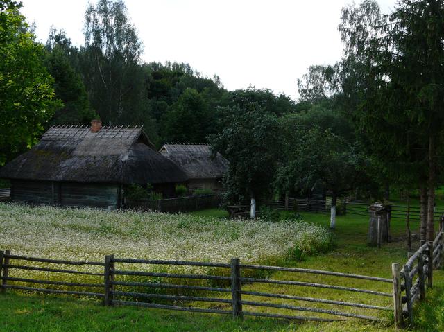 Rumszyszki kolo Kowna-Skansen