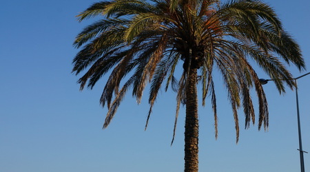 15328859 - Portimão – Portugalia