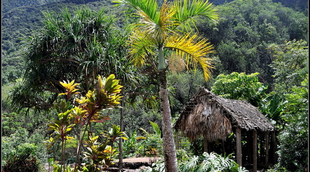 Iao Valley – Kahului, Stany Zjednoczone Ameryki