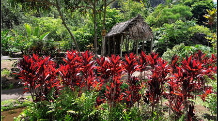Iao Valley – Kahului, Stany Zjednoczone Ameryki