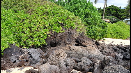 Makena Beach – Kahului, Stany Zjednoczone Ameryki