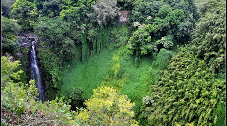 Pipiwai Trail – Kahului, Stany Zjednoczone Ameryki