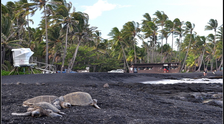 Punalu'u Black Sand Beach – Hilo, Stany Zjednoczone Ameryki