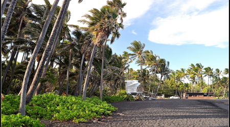 Punalu'u Black Sand Beach – Hilo, Stany Zjednoczone Ameryki
