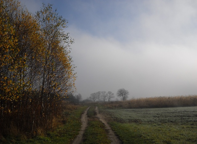 Na drodze