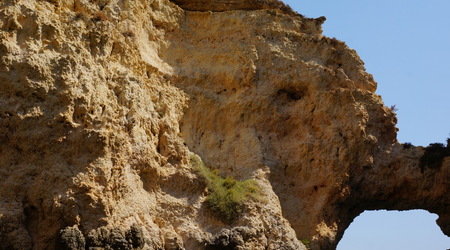 slon – Ponta da piedade, Portugalia