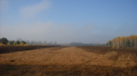 puste pole – Radomyśl, Polska