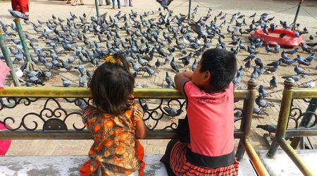Dzieci i ptaki – Katmandu, Nepal