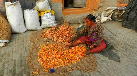 Przy pracy – Katmandu, Nepal