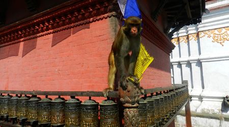 Młynki modlitewne – Katmandu, Nepal