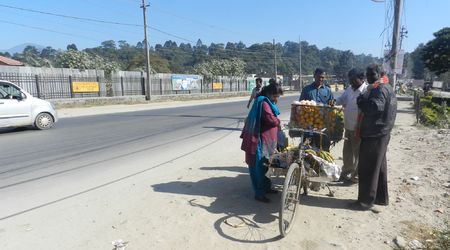 Sprzedawca pomarańczy – Pokhara, Nepal