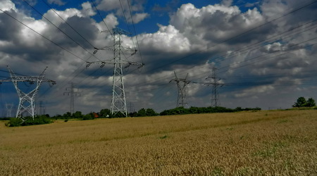 Samo życie: i uprawa (zboże), i energia (na drutach) i wilgoć (wpowietrzy) - no, żyć nie umierać :) – Konin, Polska