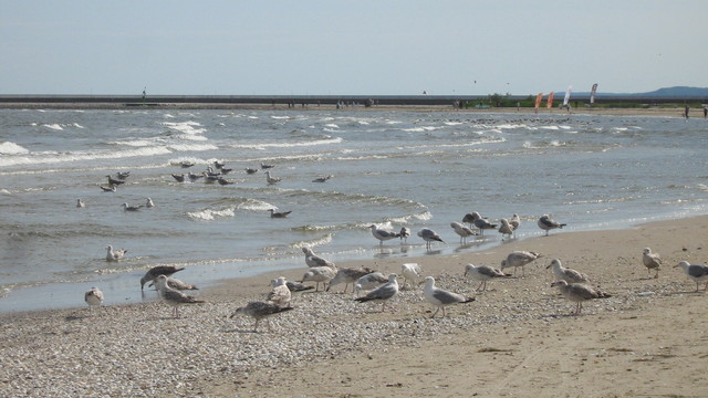 Swinoujście 2013r