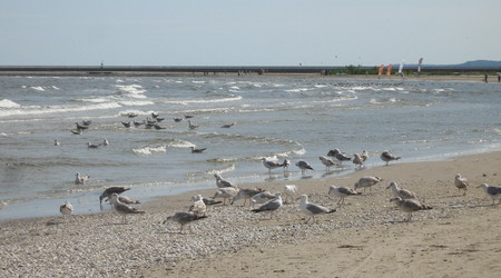 Swinoujście 2013r – Świnoujście, Polska