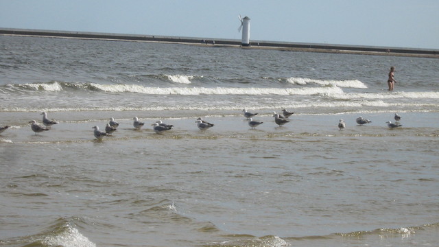 Swinoujście 2013r