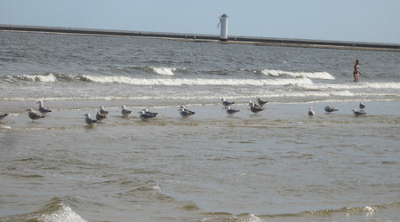 Swinoujście 2013r – Świnoujście, Polska