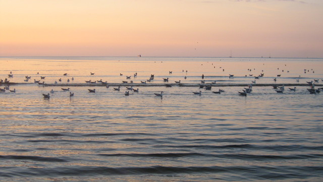 Swinoujście 2013r
