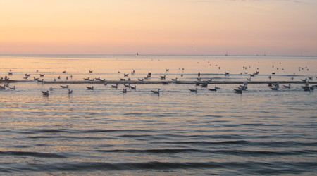 Swinoujście 2013r – Świnoujście, Polska