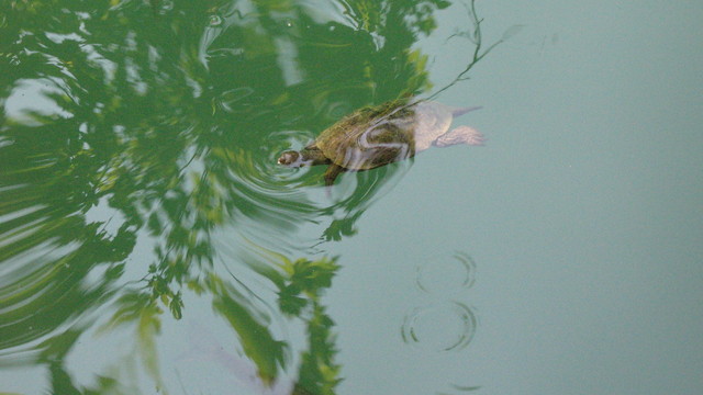 Wodospady Kursunlu