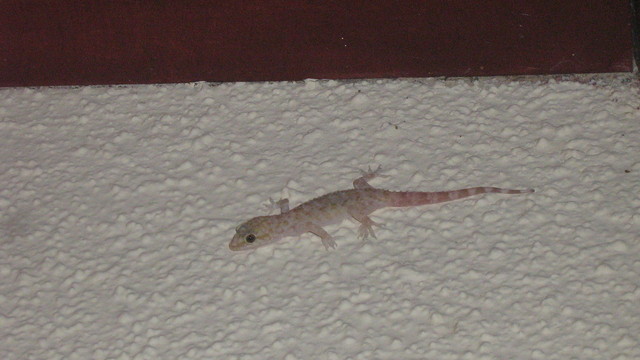 Titreyengol