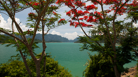 Nad jeziorem – Surat Thani, Tajlandia