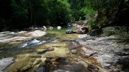 Woda – Surat Thani, Tajlandia