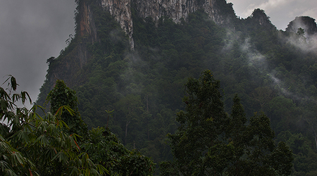 Góry w okolicach Khlong Phanom – Surat Thani, Tajlandia