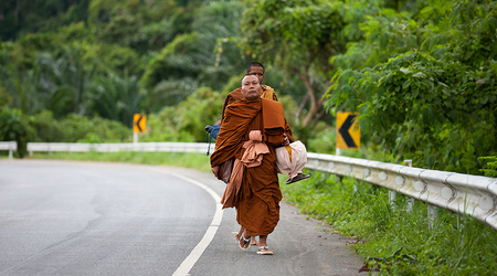 Mnisi – Surat Thani, Tajlandia