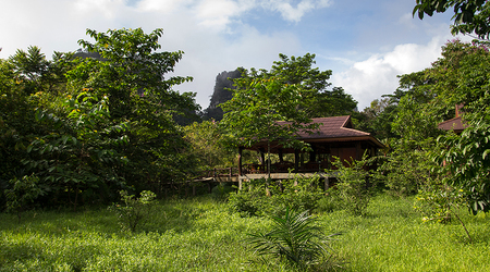 Widok z  domku – Surat Thani, Tajlandia