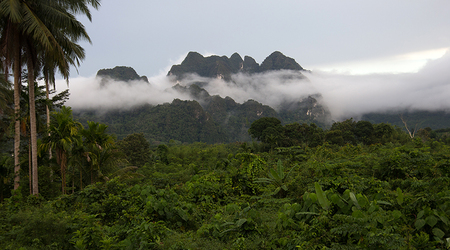 Khao Sok National Park – Surat Thani, Tajlandia