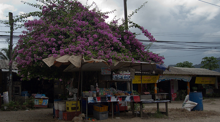 W drodze – Surat Thani, Tajlandia