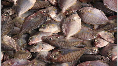Malaysia 2192 – Kota Kinabalu, Malezja