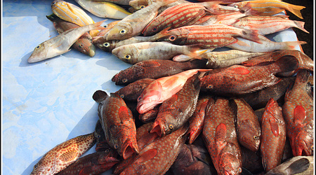 Malaysia 2207 – Kota Kinabalu, Malezja