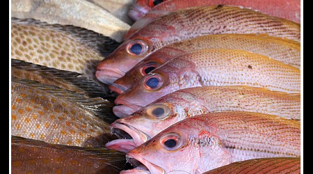 Malaysia 2210 – Kota Kinabalu, Malezja
