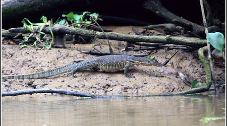 Malaysia 3109 – Sandakan, Malezja