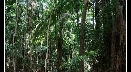 Malaysia 3748 – Kota Kinabalu, Malezja