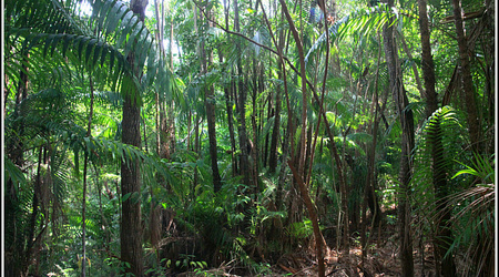 Malaysia 3750 – Kota Kinabalu, Malezja