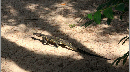 Malaysia 3757 – Kota Kinabalu, Malezja