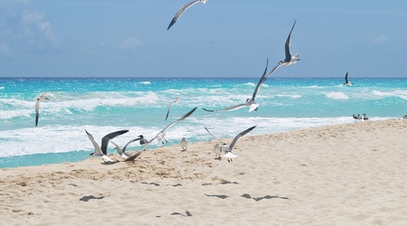 Cancun. – Cancún, Meksyk