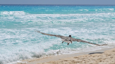 Cancun. – Cancún, Meksyk
