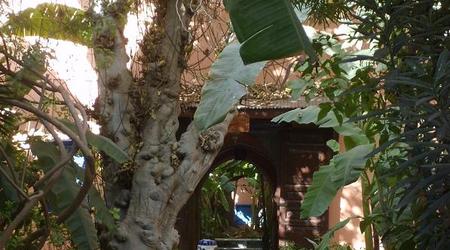 Taroudant – Taroudannt, Maroko