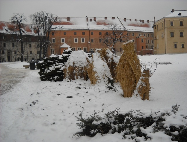 Wawel