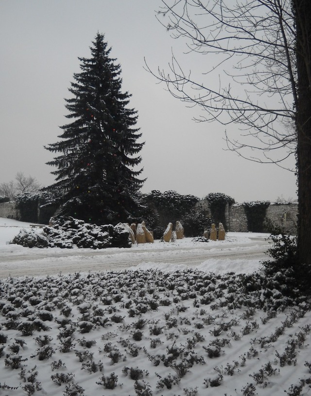 Wawel
